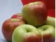 Możliwości eksportu świeżych jabłek z Polski na rynek kanadyjski - zdjęcie