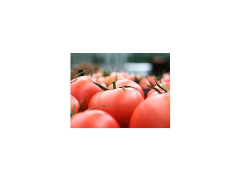 Kolejna transza wycofania owoców i warzyw z rynku - konsultacje zdjęcie