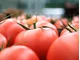 Kolejna transza wycofania owoców i warzyw z rynku - konsultacje - zdjęcie