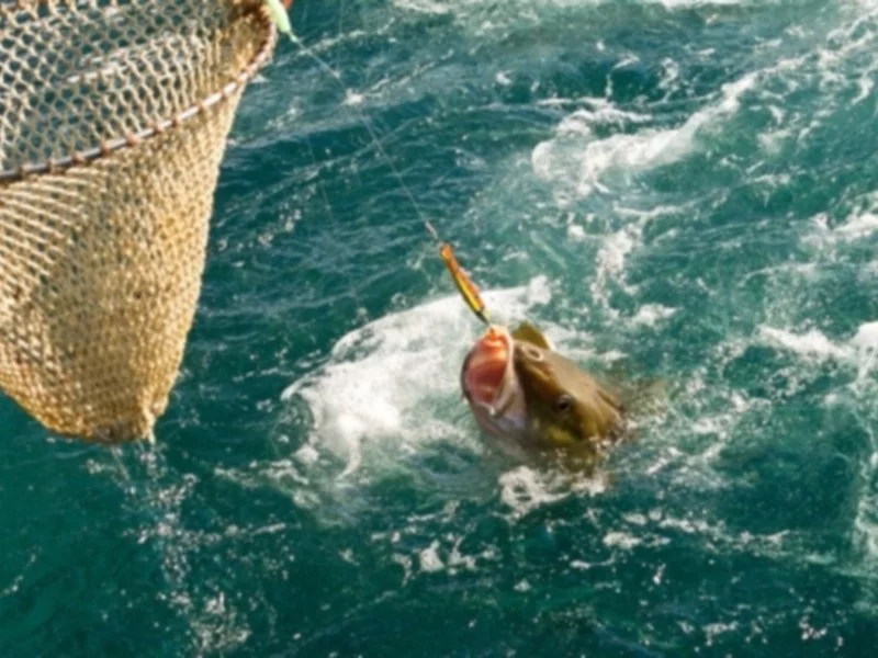 Rybołówstwo rekreacyjne uregulowane - zdjęcie