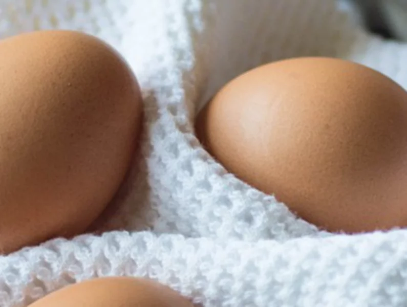 Ile zdrowia kryje wielkanocne jajko? - zdjęcie