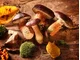 Kulinarne grzybobranie: Z czym najlepiej łączyć grzyby? - zdjęcie