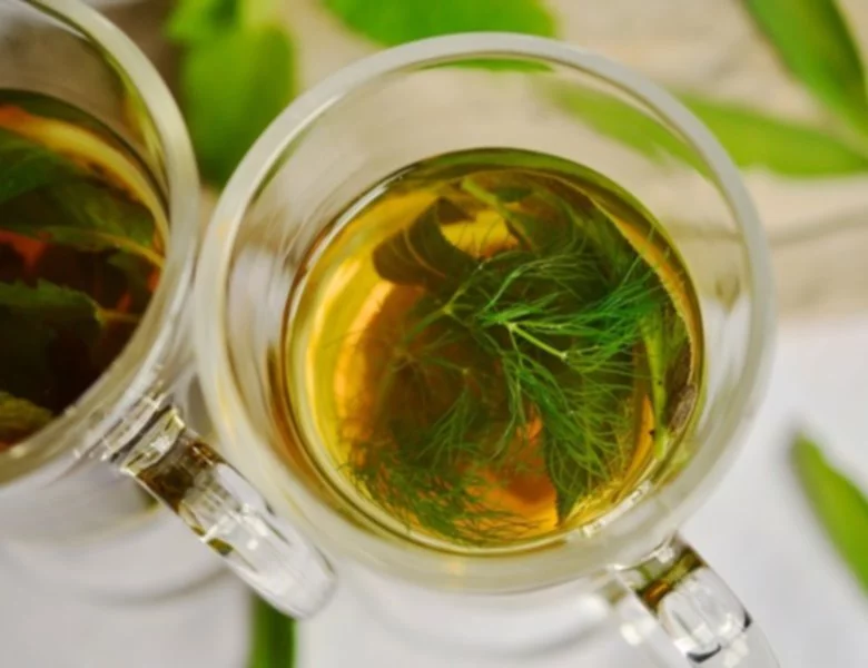 Zielona dieta - jak schudnąć z zieloną herbatą - zdjęcie