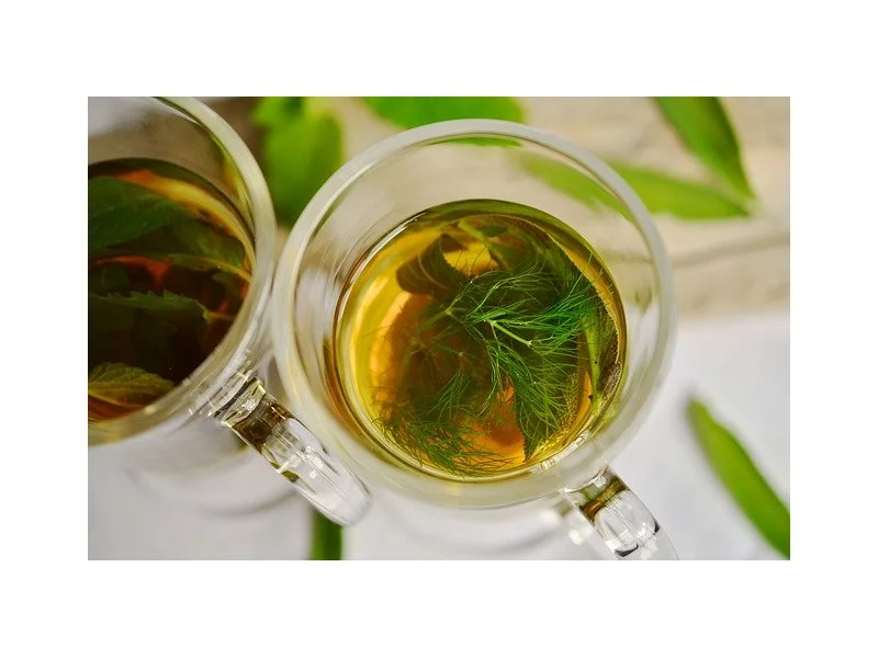 Zielona dieta - jak schudnąć z zieloną herbatą zdjęcie