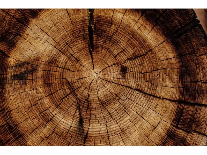 Olejowanie drewna - wszystko, co musisz wiedzieć! zdjęcie