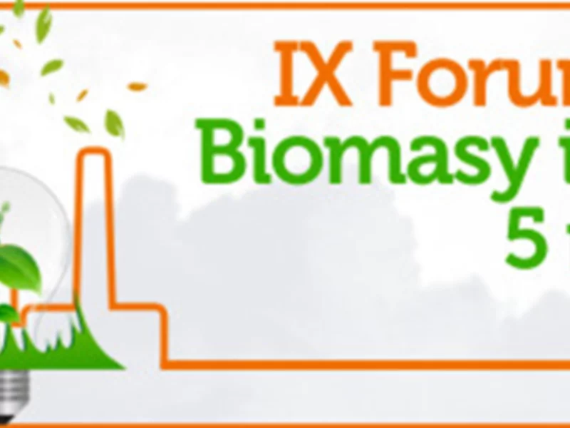 IX Forum Spalania Biomasy i Odpadów - zdjęcie