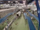 Najnowsza linia puszek zasilana zieloną energią w zakładzie produkującym Pepsi w podwarszawskim Michrowie - zdjęcie