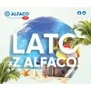LATO Z ALFACO! - zdjęcie