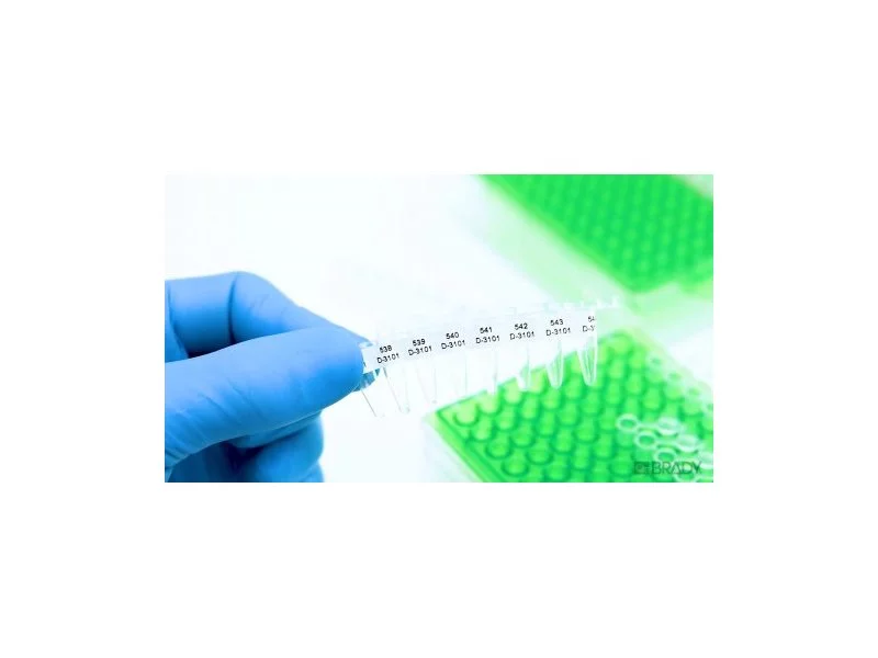 Identyfikuj 8 probówek PCR jednocześnie zdjęcie