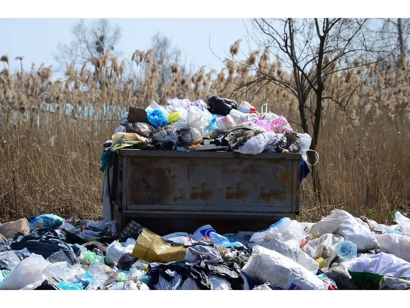 Polska śmieciami stoi zdjęcie
