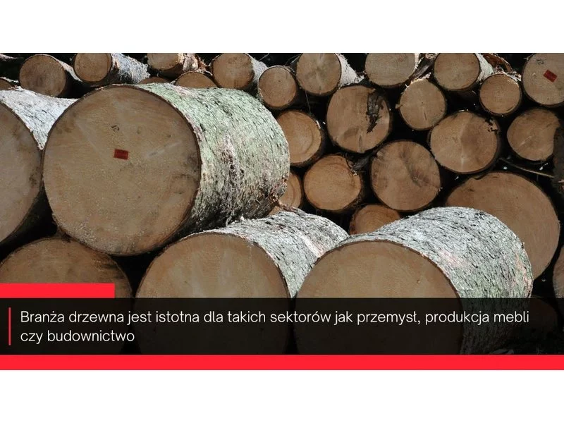 Rosnące ceny i wzrost konkurencji problemem branży drzewnej zdjęcie
