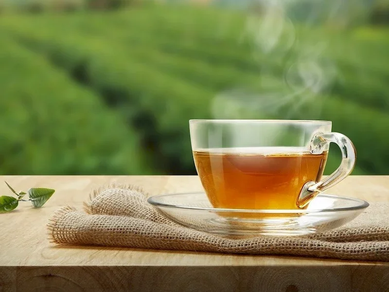 15 grudnia – Międzynarodowy Dzień Herbaty - zdjęcie