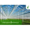 Pilkington Botanical™ przyspieszy wzrost upraw - zdjęcie