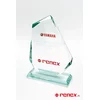 Nagroda za Szczególne Osiągnięcia dla Grupy RENEX - zdjęcie