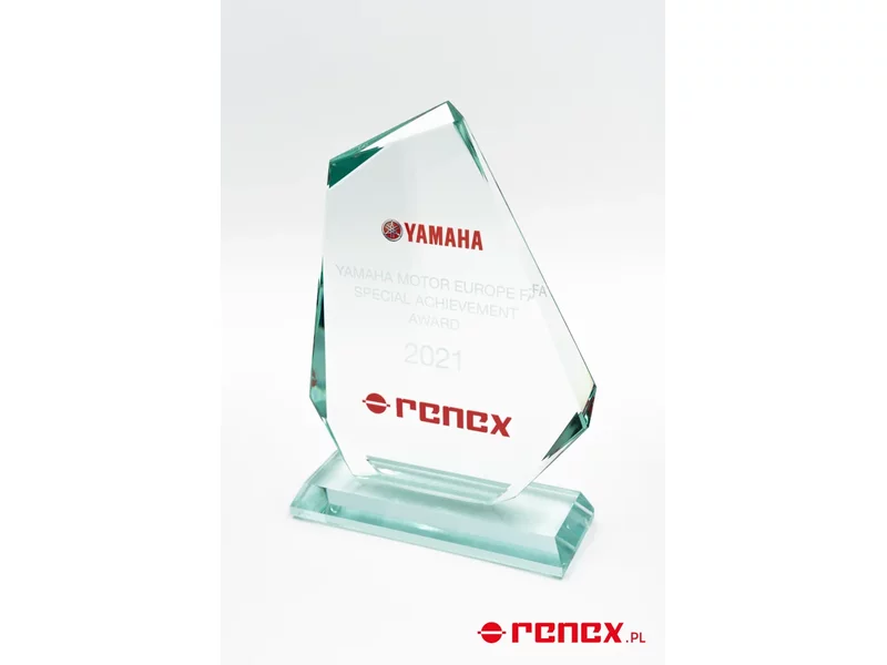 Nagroda za Szczególne Osiągnięcia dla Grupy RENEX zdjęcie