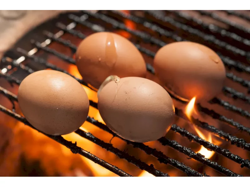 Zabierz jajko na grilla! zdjęcie