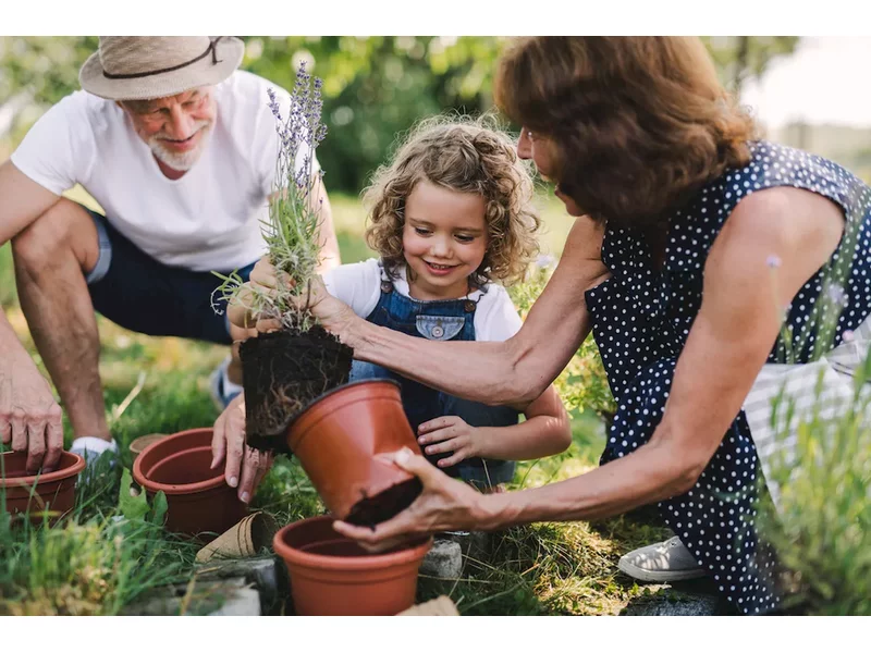 Uczmy się ekonawyków od… naszych babć i dziadków!  zdjęcie