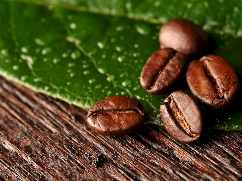 Łuski kawy – ekologiczny kompozyt w przemyśle tworzyw sztucznych - zdjęcie