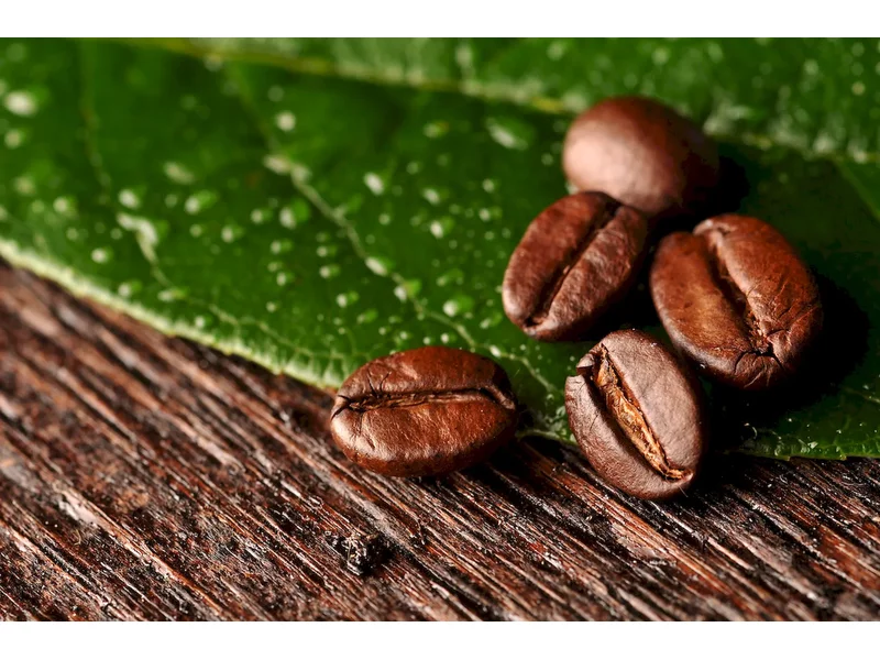 Łuski kawy – ekologiczny kompozyt w przemyśle tworzyw sztucznych zdjęcie