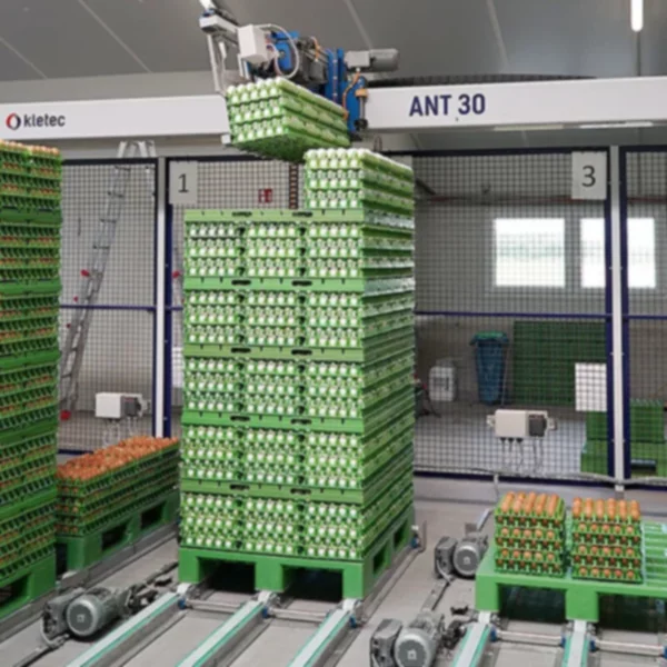 Precyzja i delikatność - technologia Lenze w maszynie do pakowania jaj - zdjęcie