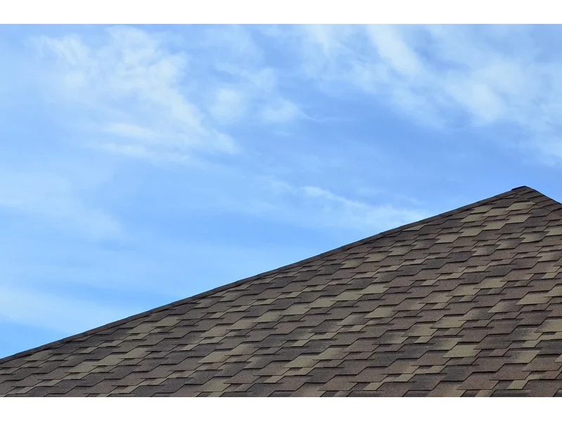 Co trzeba wiedzieć przed malowaniem dachu z blachy? zdjęcie