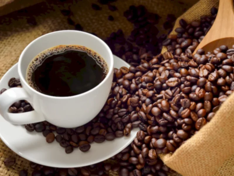 Kawa Segafredo - dlaczego warto ją spróbować? - zdjęcie