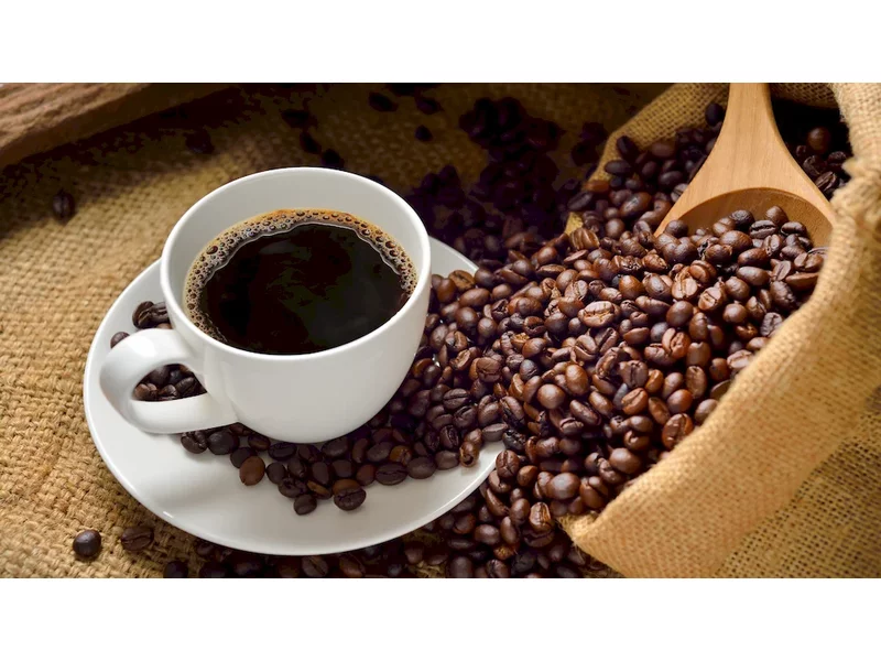 Kawa Segafredo - dlaczego warto ją spróbować? zdjęcie