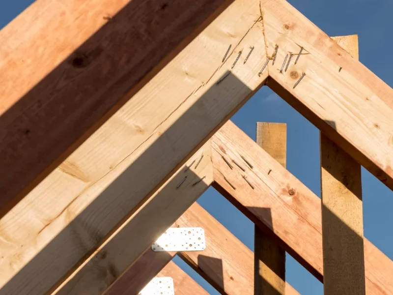 Budownictwo drewniane przyszłością rynku mieszkaniowego? - zdjęcie