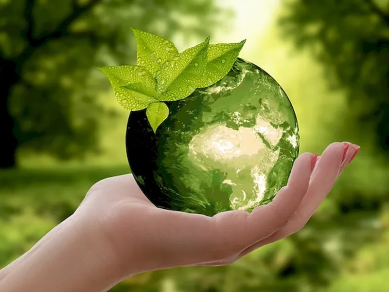 Woreczki biodegradowalne, czyli ekologiczna alternatywa dla folii - zdjęcie