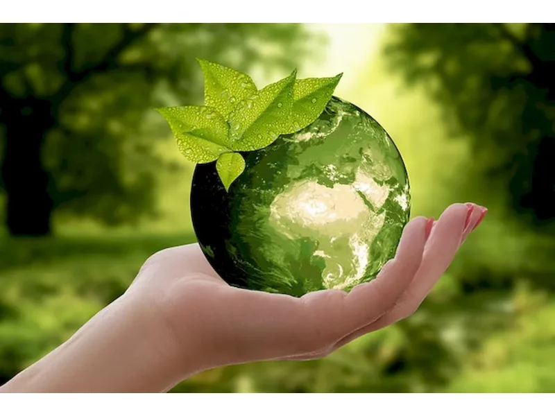 Woreczki biodegradowalne, czyli ekologiczna alternatywa dla folii zdjęcie