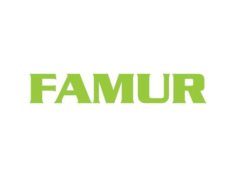 Grupa FAMUR: wyniki finansowe za I półrocze 2011 zdjęcie