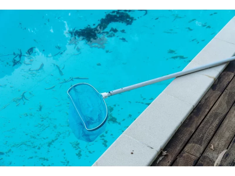 Jak zapobiegać wzrostowi glonów w basenie? zdjęcie