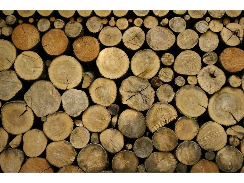 Jak przechowywać drewno na działce? zdjęcie
