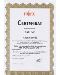 Certyfikat Fujitsu 2009 - zdjęcie