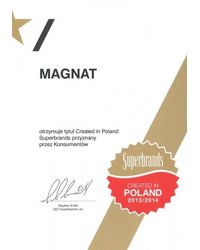 Created in Poland Superbrands 2013/2014 - zdjęcie