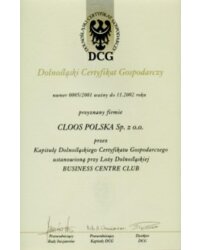 Dolnośląski Certyfikat Gospodarczy, listopad 2001. - zdjęcie