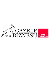 Gazele Biznesu 2013 - zdjęcie