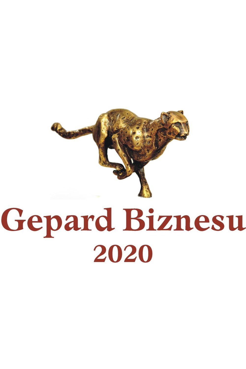Gepard biznesu 2020 - zdjęcie