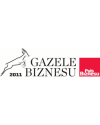 Gazele Biznesu 2011 - zdjęcie