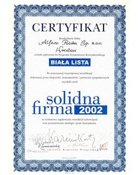 Certyfikat Solidna Firma 2002 - zdjęcie