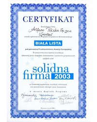 Certyfikat Solidna Firma 2003 - zdjęcie