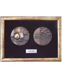Medal Targi Kielce DOM 2006 - zdjęcie