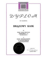 Dyplom Brązowy Kask - zdjęcie