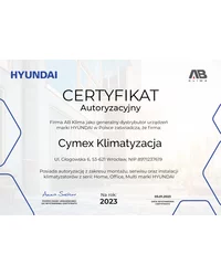 Certyfikat HYUNDAI (2023) - zdjęcie