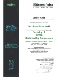 Certyfikat Green Point - tłoki (2013) - zdjęcie
