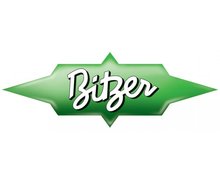 Naprawa Bitzer - zdjęcie