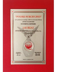 Polski Sukces 2013 - zdjęcie