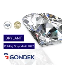 Brylant Polskiej Gospodarki 2022 oraz Efektywna Firma 2022 - zdjęcie