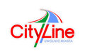 City Line sp. z o.o. Oznakowanie poziome, malowanie hal i parkingów