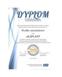Dyplom Uznania - Profile aluminiowe (2013) - zdjęcie